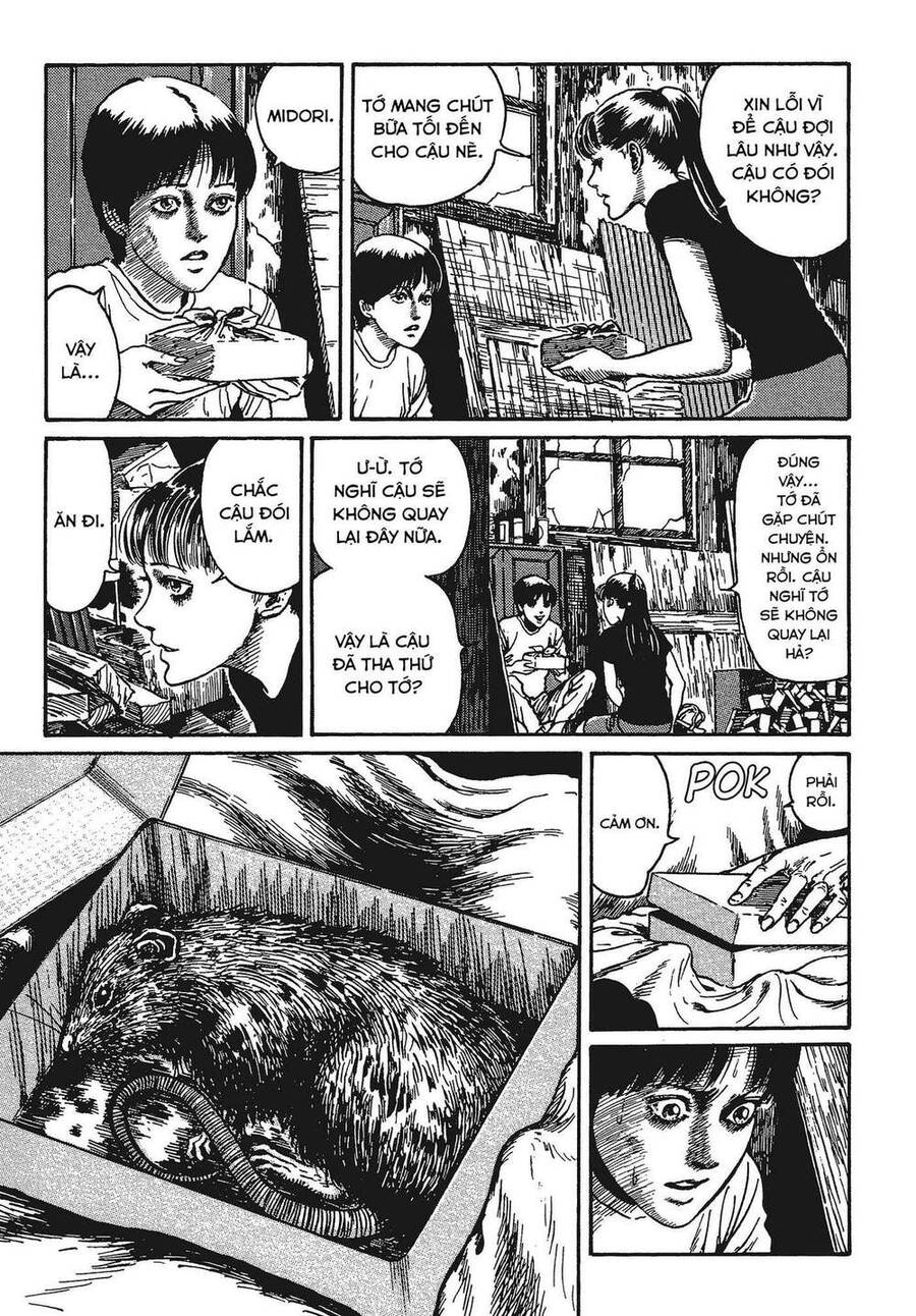 Tình Yêu: Tuyển Tập Câu Chuyện Của Junji Ito Chapter 4 - 16