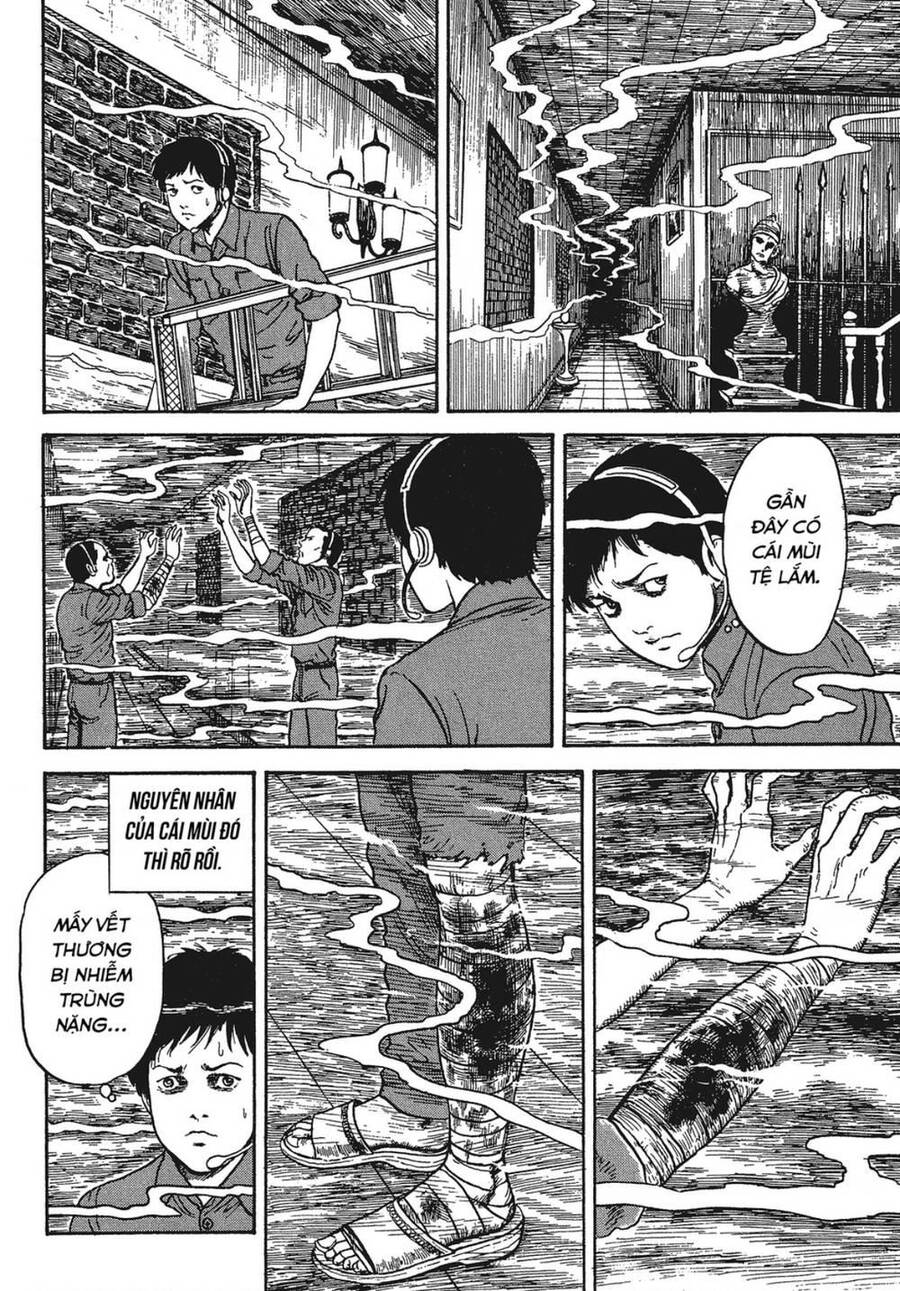 Tình Yêu: Tuyển Tập Câu Chuyện Của Junji Ito Chapter 8 - 22