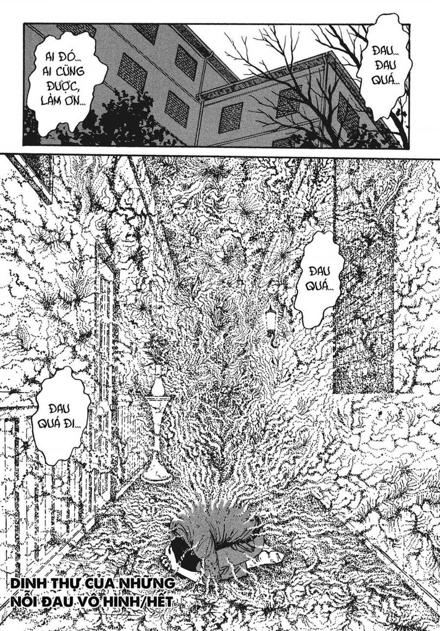 Tình Yêu: Tuyển Tập Câu Chuyện Của Junji Ito Chapter 8 - 34