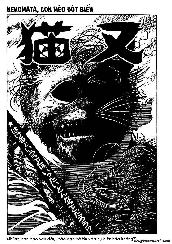 3 Street Of Mysteries Chapter 10 - 2