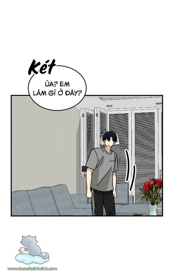 Bạn Của Em Trai Chapter 26 - 36