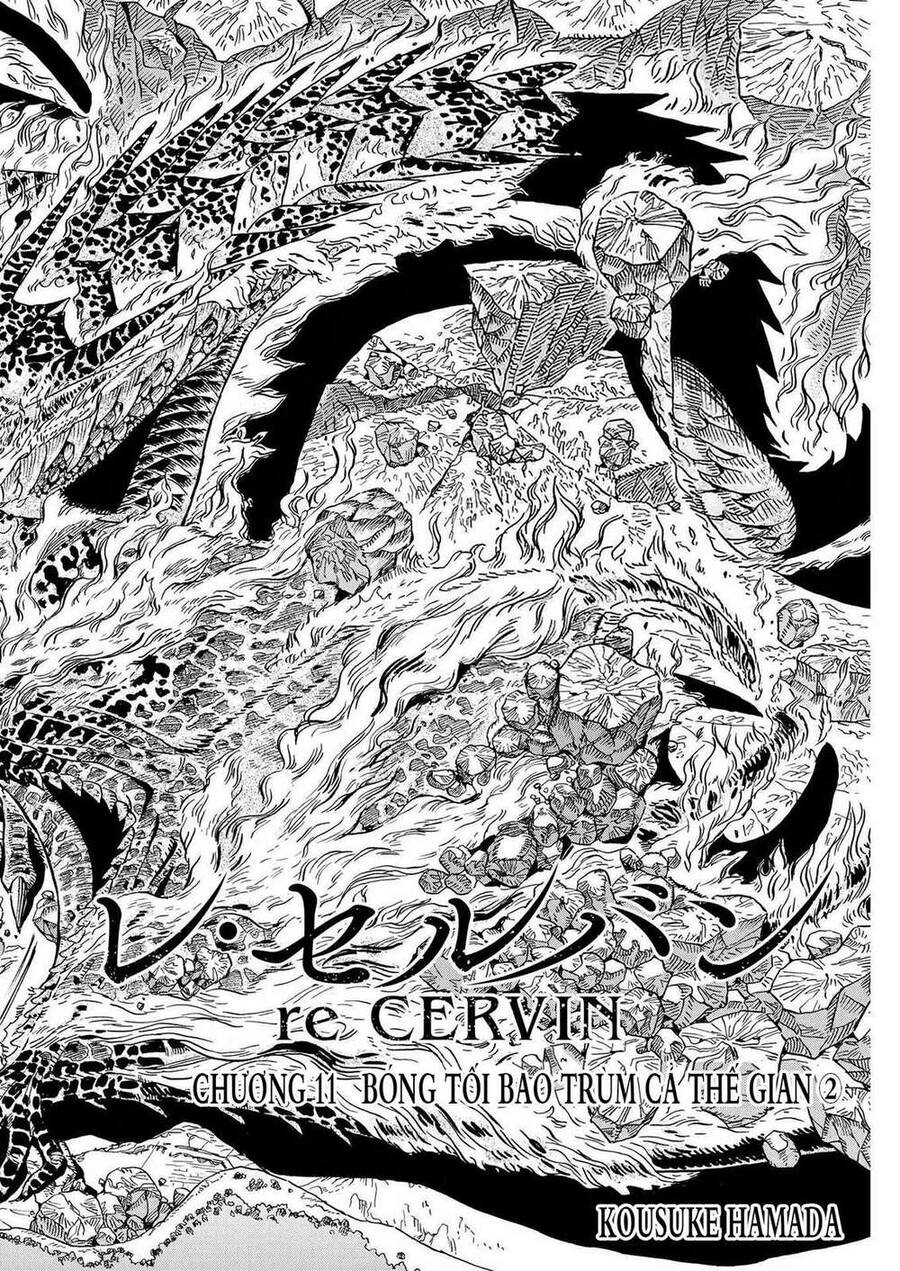 Re Cervin Chapter 11 - 2