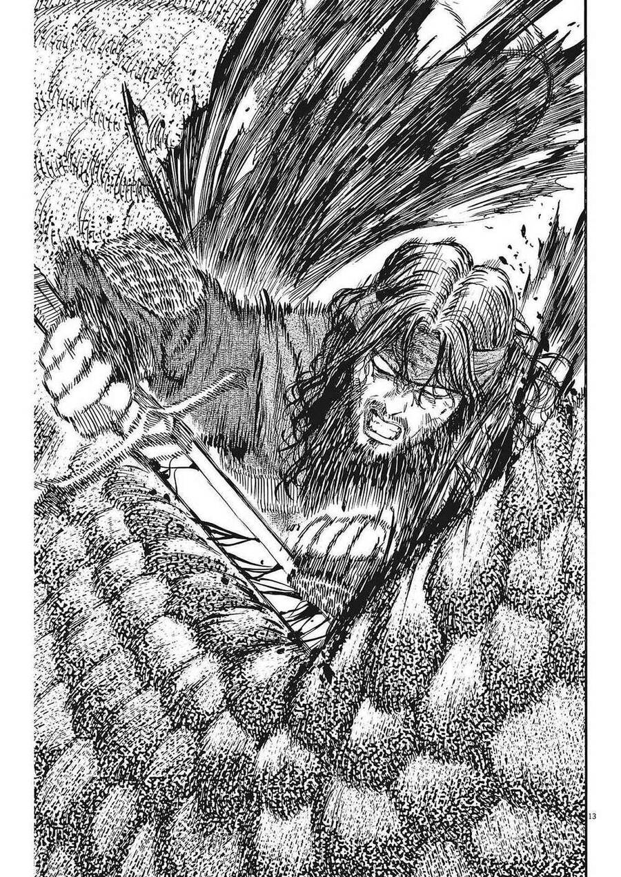 re CERVIN Chapter 12 - 13