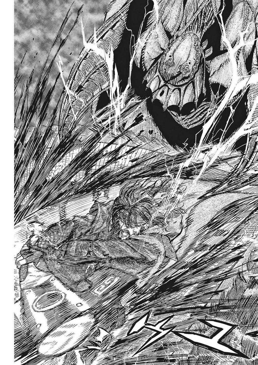 re CERVIN Chapter 12 - 19