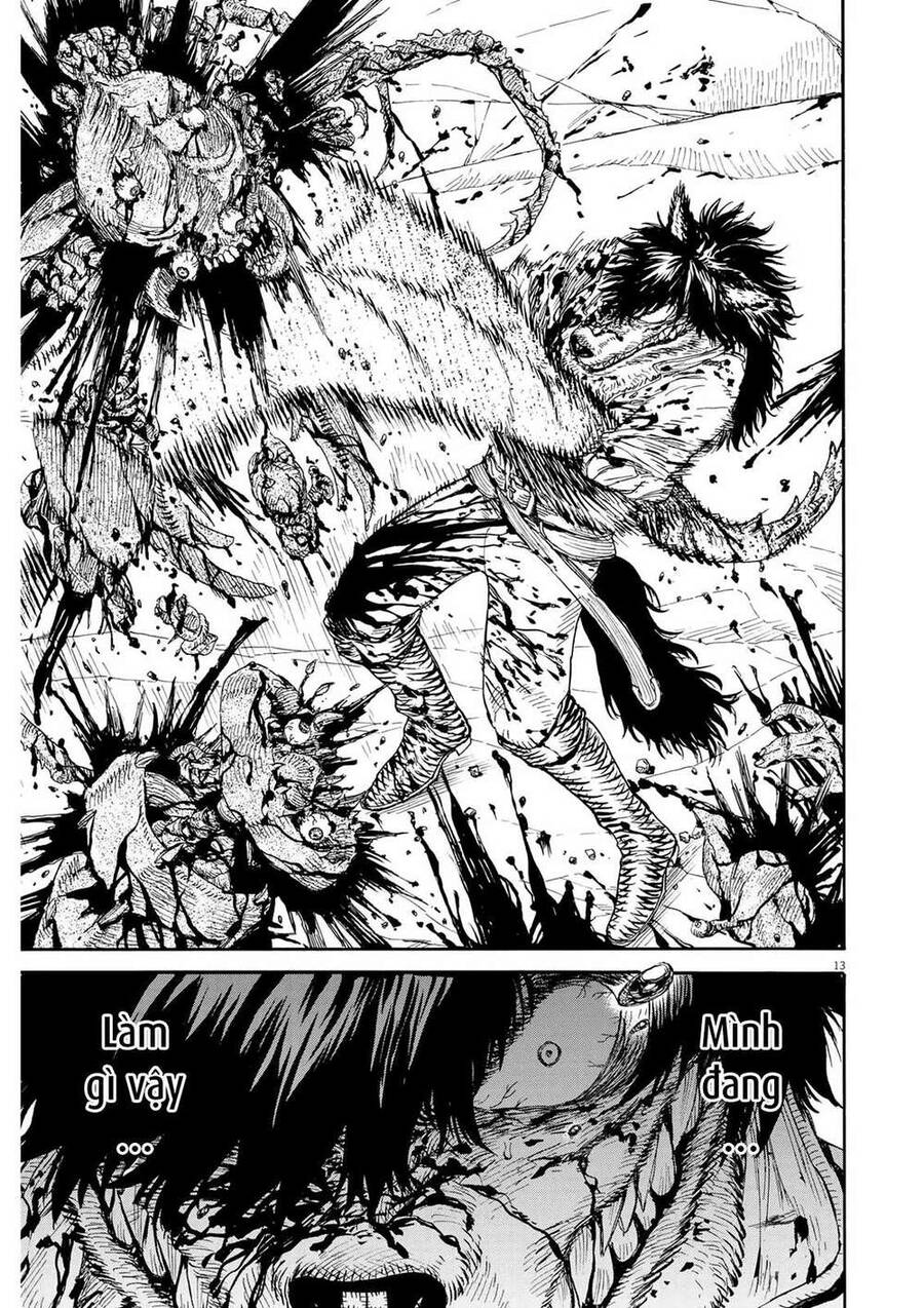 re CERVIN Chapter 13 - 13