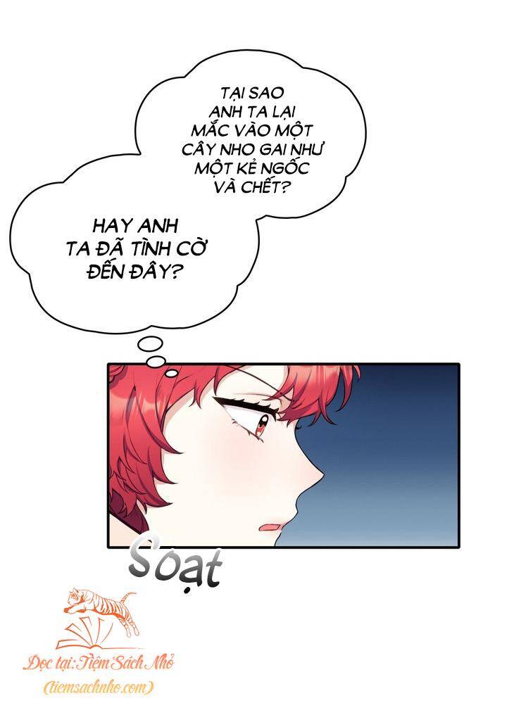 Gấu Bông Của Ngài Công Tước Chapter 7 - 19