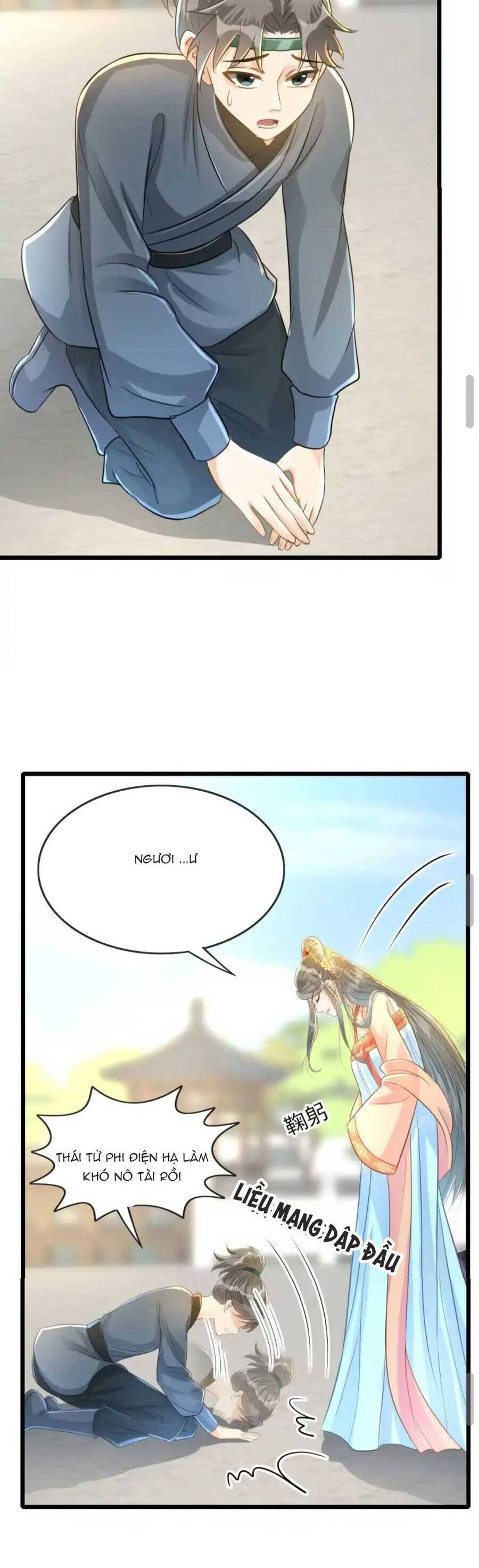 Thái Tử Phi Thế Thân Chapter 8 - 22