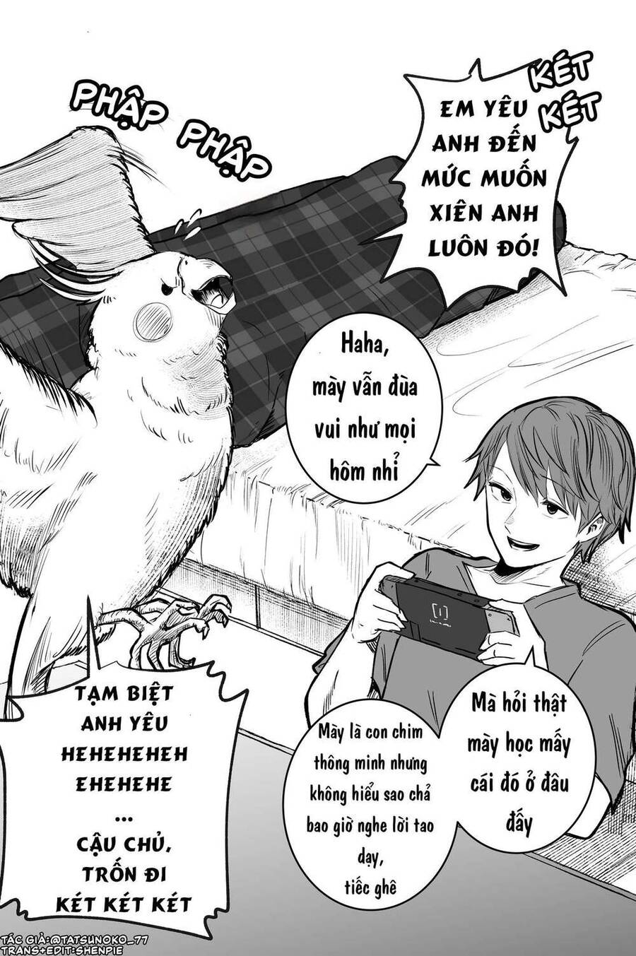 Điều Mà Chú Vẹt Muốn Cảnh Báo Chapter 2 - 1