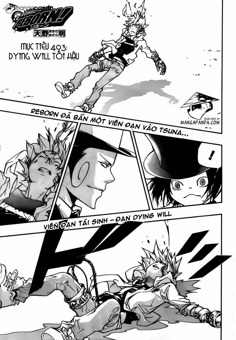 Reborn: Người Đào Tạo Sát Thủ Chapter 403 - 4