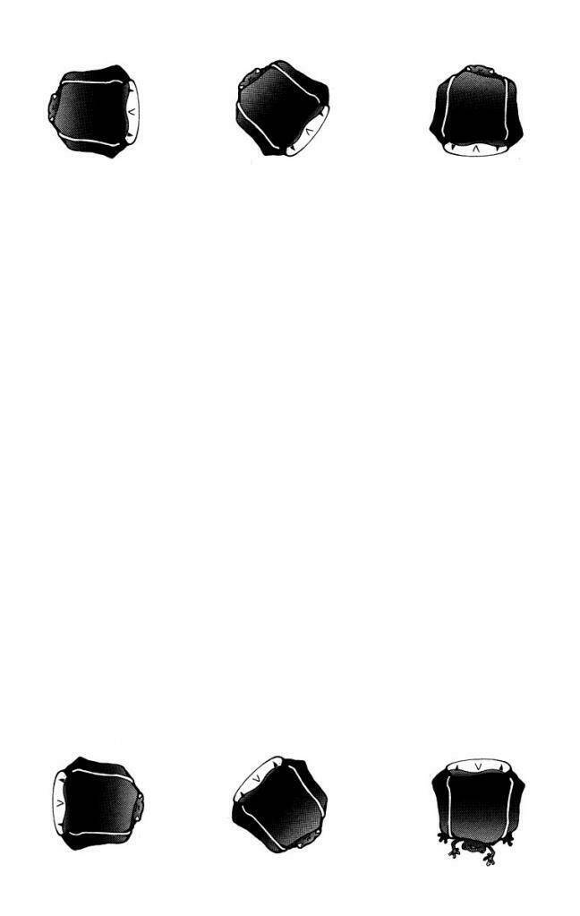 Reborn: Người Đào Tạo Sát Thủ Chapter 99 - 4