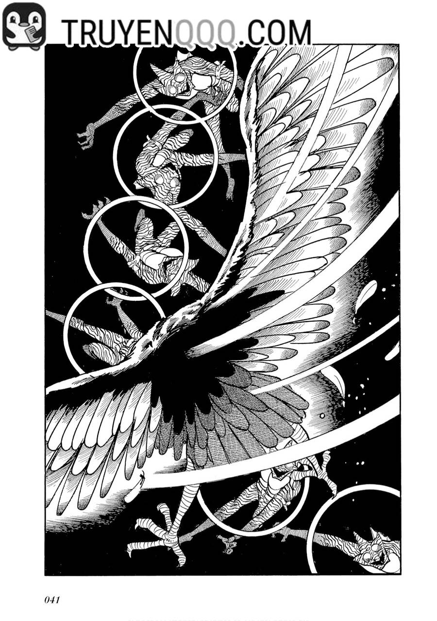 Giả Diện Kỵ Sĩ Amazon Chapter 2 - 16