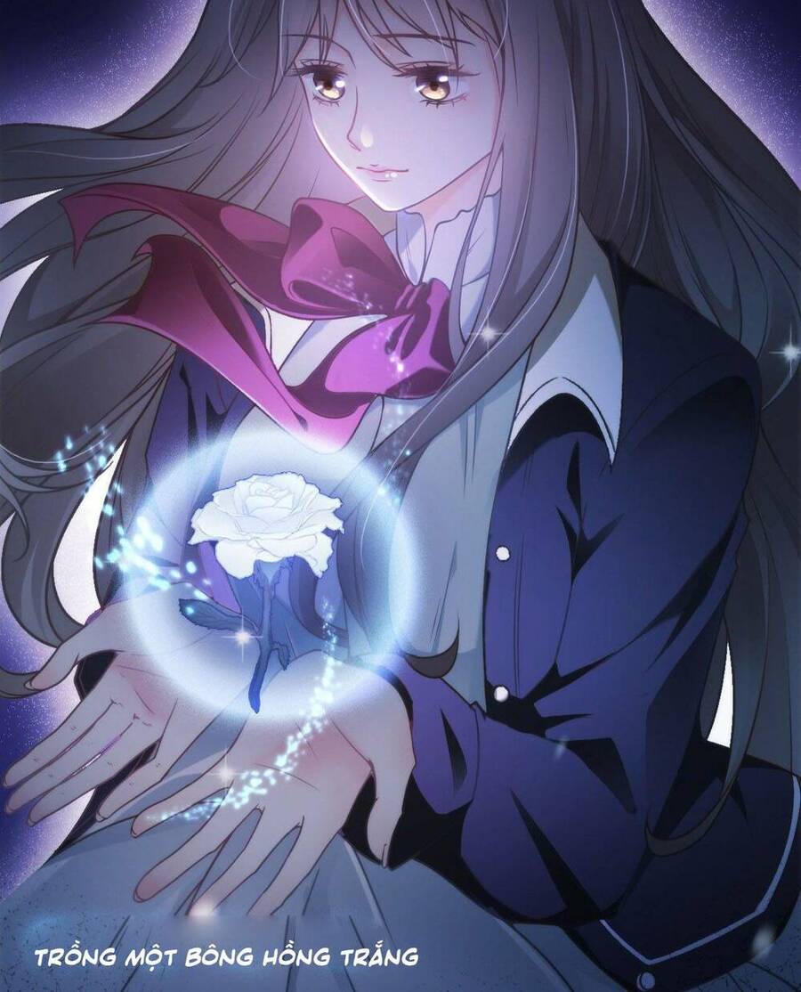 Cô Ấy Và Bông Hồng Trắng Chapter 1 - 5
