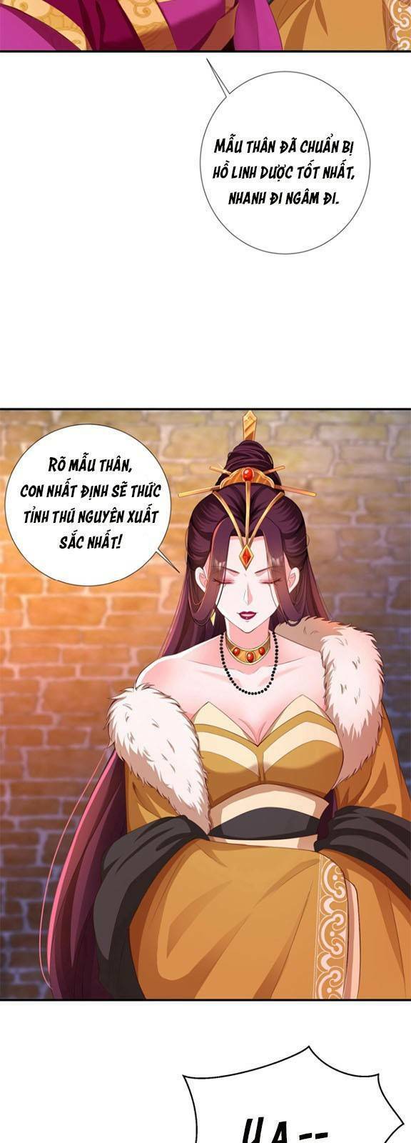 Nghịch Thiên Manh Thú_ Tuyệt Thế Yêu Nữ Khuynh Thiên Hạ Chapter 2 - 4