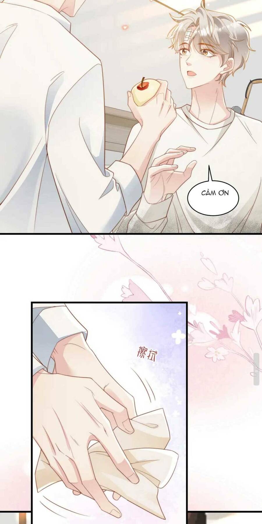 Giả Vờ Mất Trí Nhớ , Tình Địch Nhân Cơ Hội Nói Tôi Là Bạn Trai Anh Ta Chapter 4 - 24