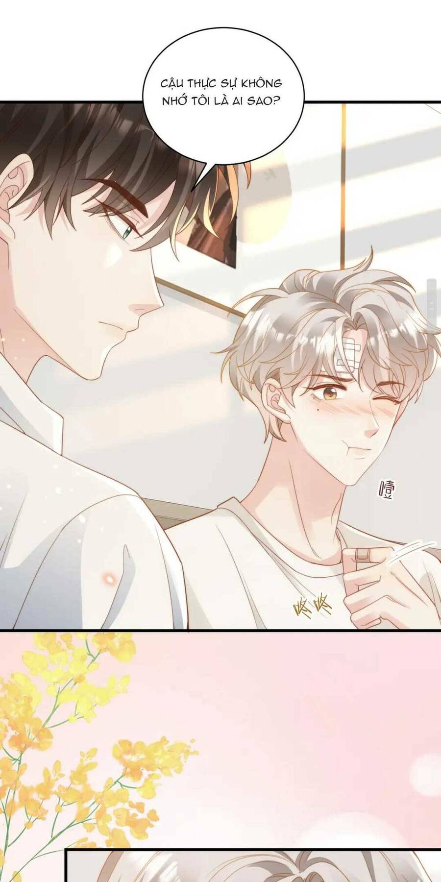 Giả Vờ Mất Trí Nhớ , Tình Địch Nhân Cơ Hội Nói Tôi Là Bạn Trai Anh Ta Chapter 4 - 26