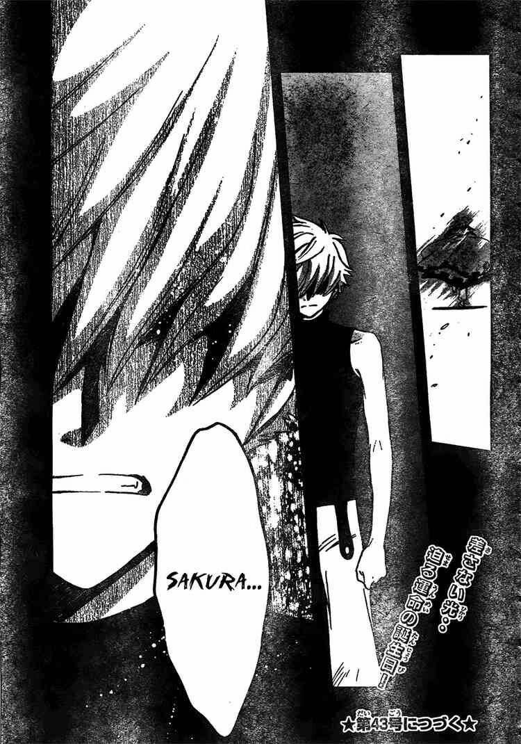 Huyền Thoại Đôi Cánh Chapter 199 - 19