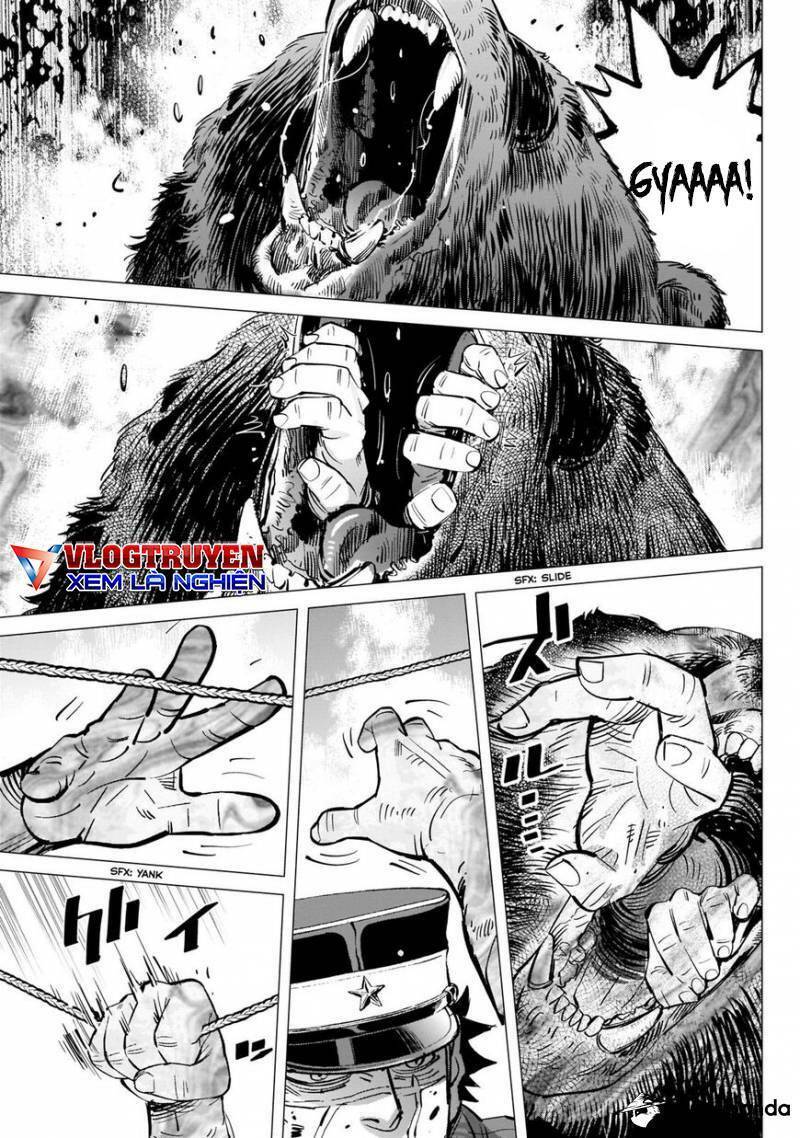 Cơn Sốt Vàng Sau Chiến Tranh Chapter 221 - 13