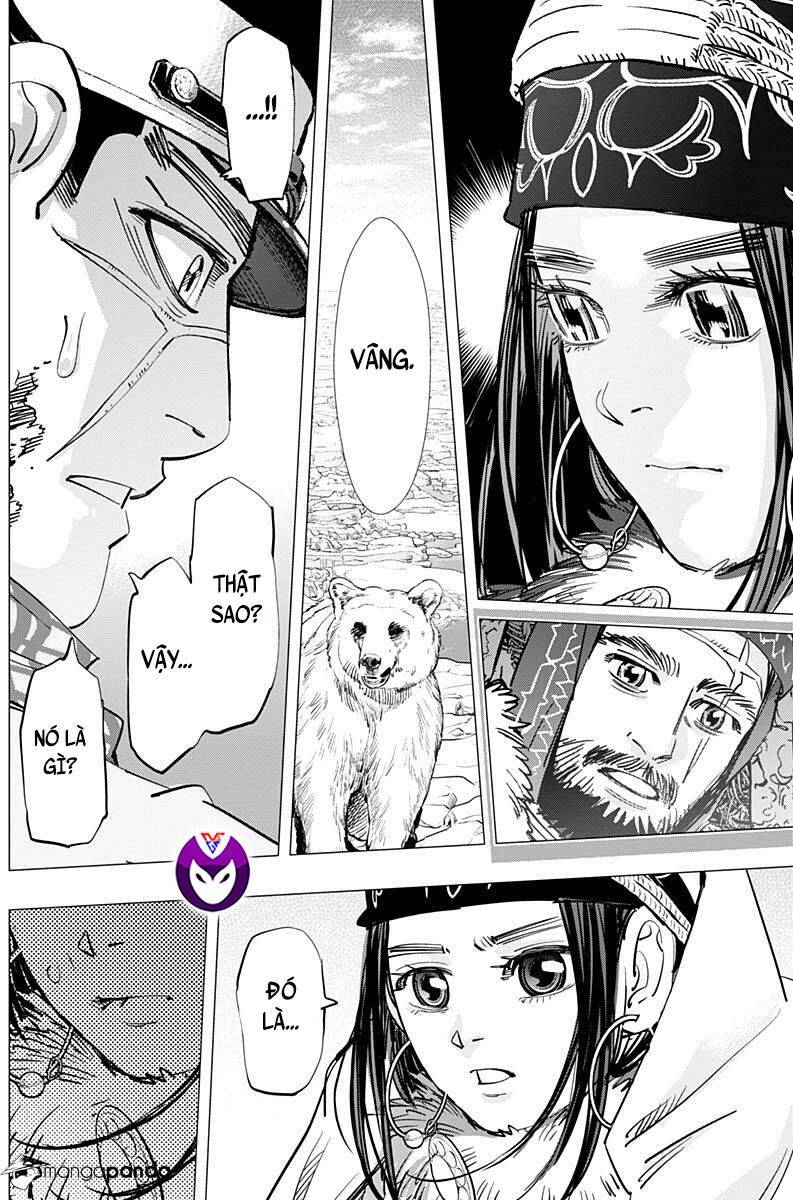 Cơn Sốt Vàng Sau Chiến Tranh Chapter 215 - 14