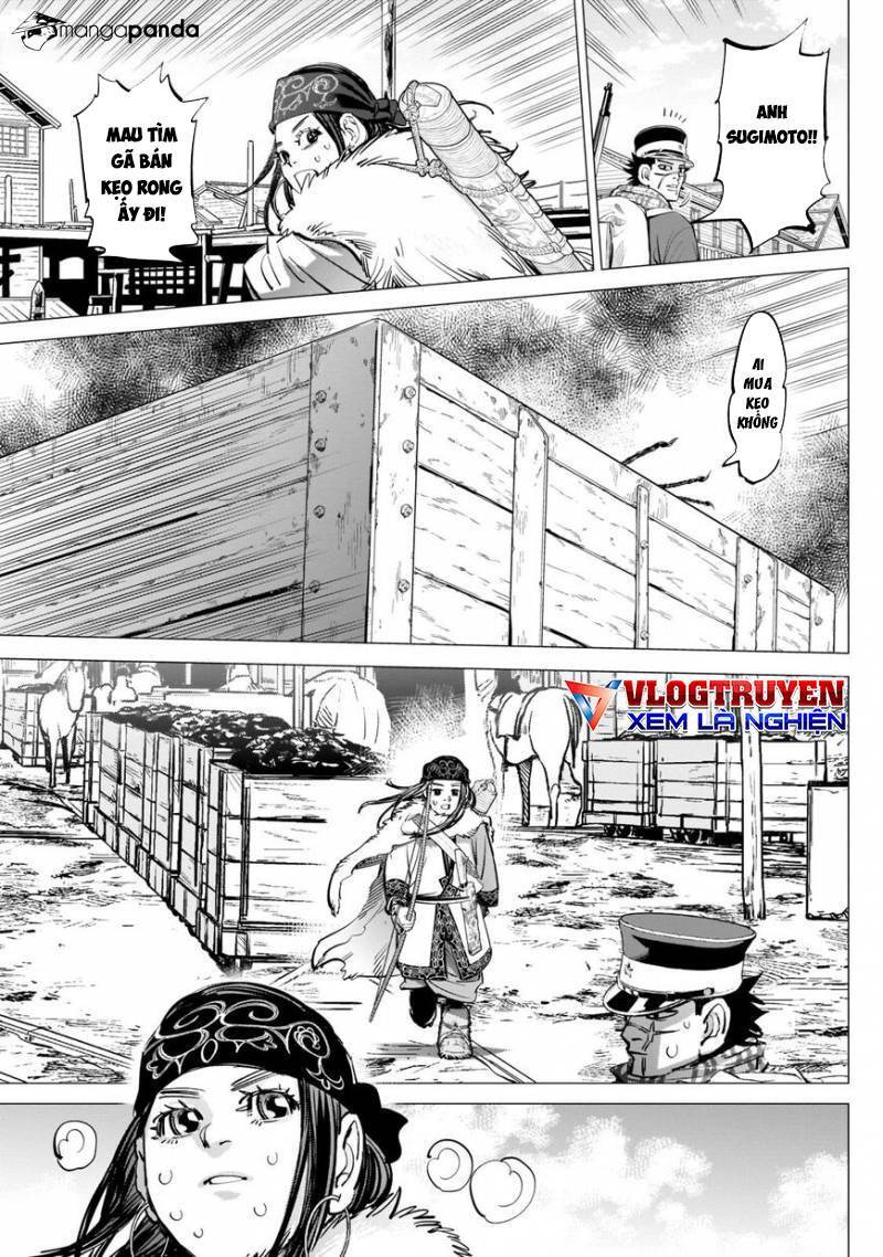 Cơn Sốt Vàng Sau Chiến Tranh Chapter 233 - 17