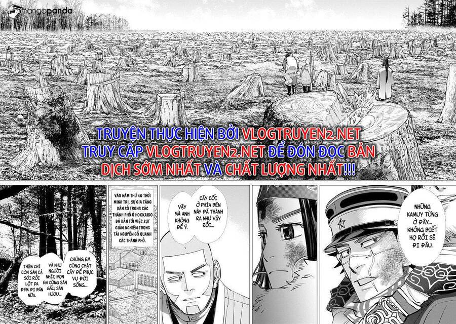 Cơn Sốt Vàng Sau Chiến Tranh Chapter 242 - 16