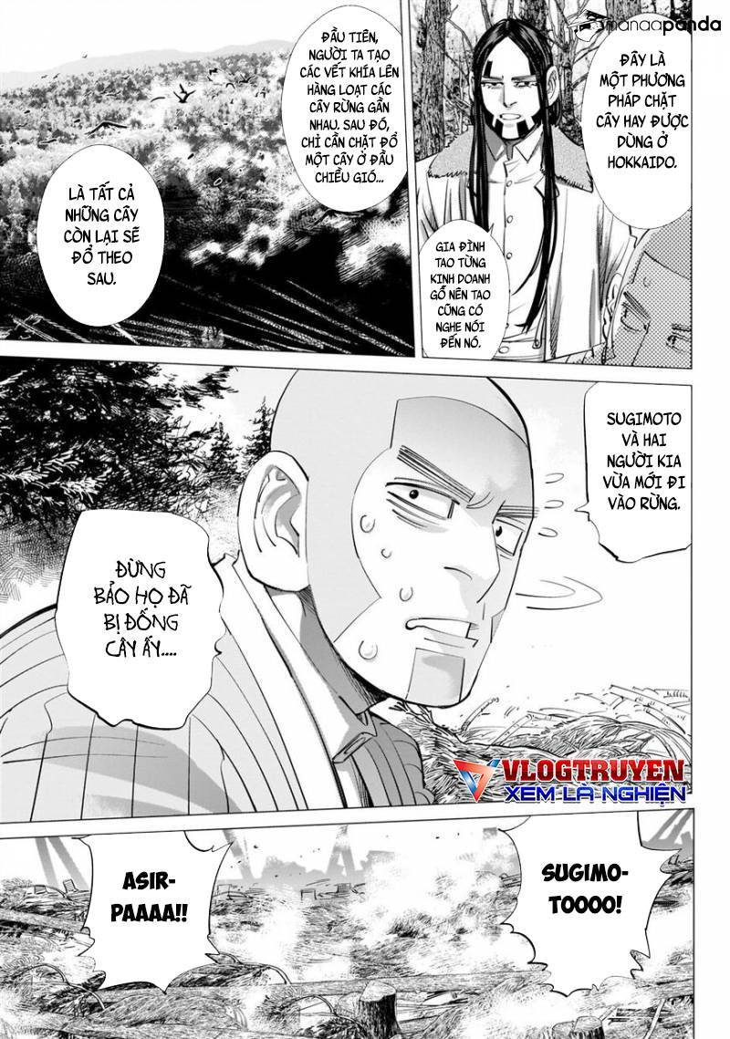 Cơn Sốt Vàng Sau Chiến Tranh Chapter 242 - 4