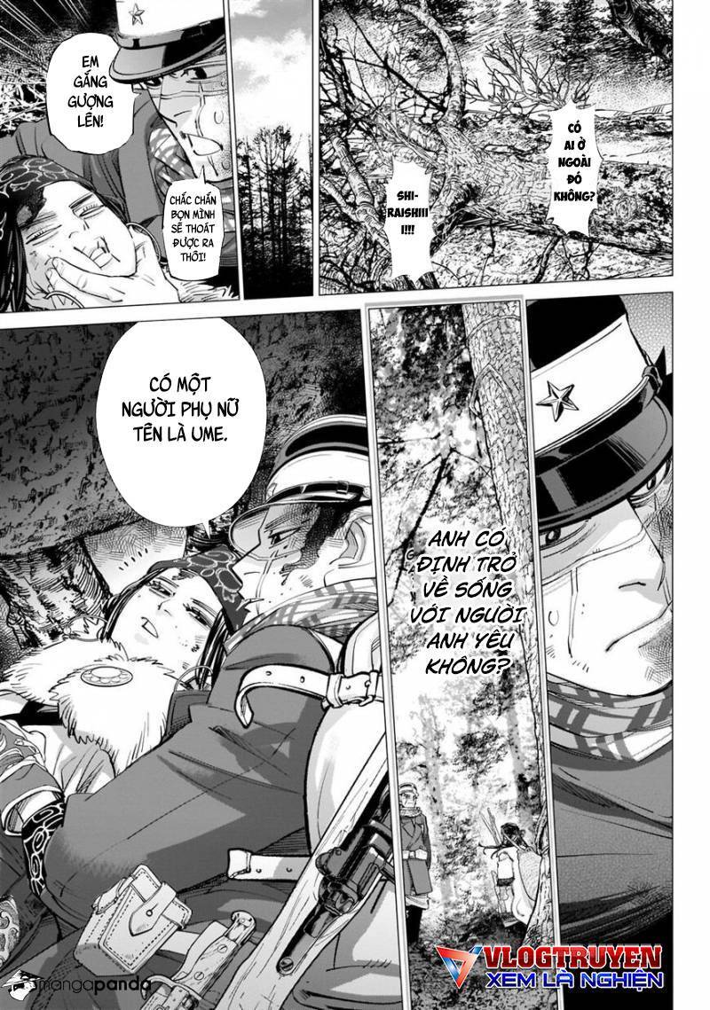 Cơn Sốt Vàng Sau Chiến Tranh Chapter 242 - 6