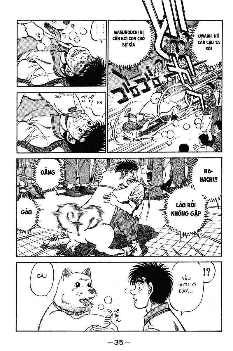 Võ Sĩ Quyền Anh Ippo Chapter 234 - 13