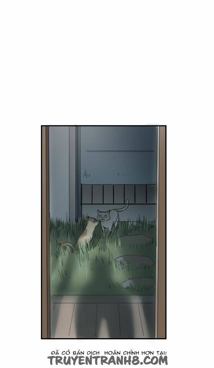 Transparent Cohabitation Chapter 10 - 50