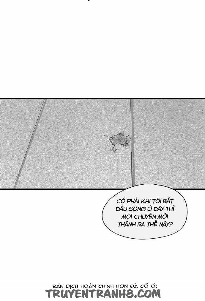 Transparent Cohabitation Chapter 11 - 61