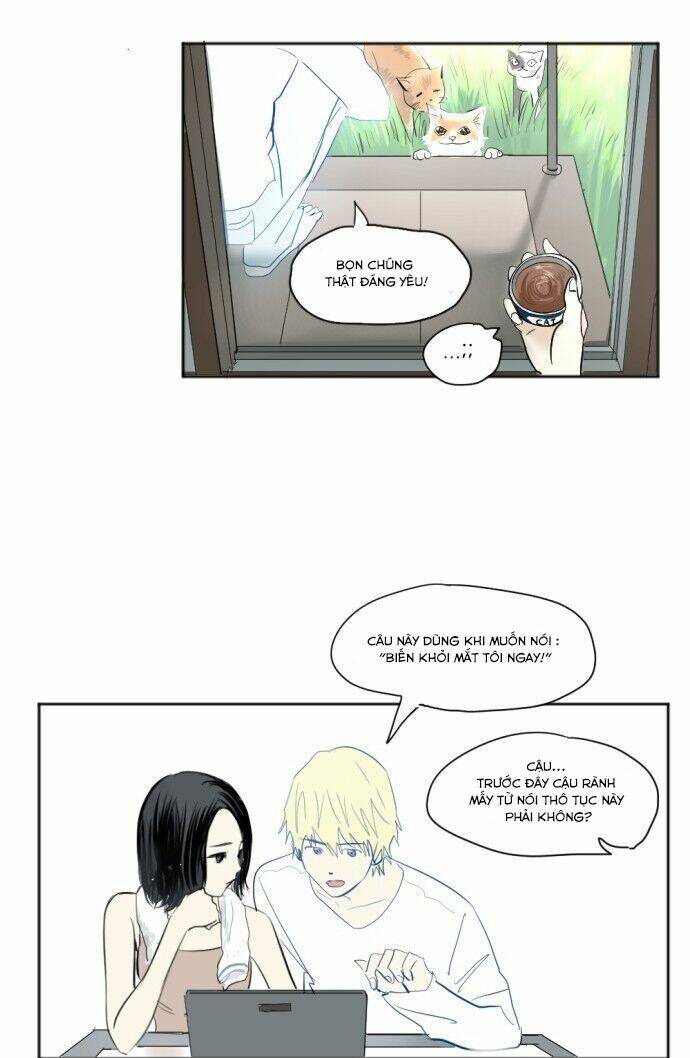 Transparent Cohabitation Chapter 16 - 17