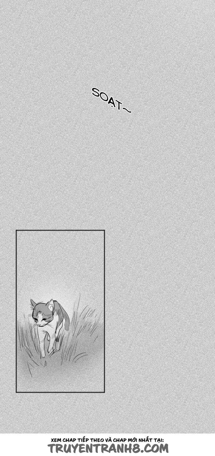 Transparent Cohabitation Chapter 24 - 23