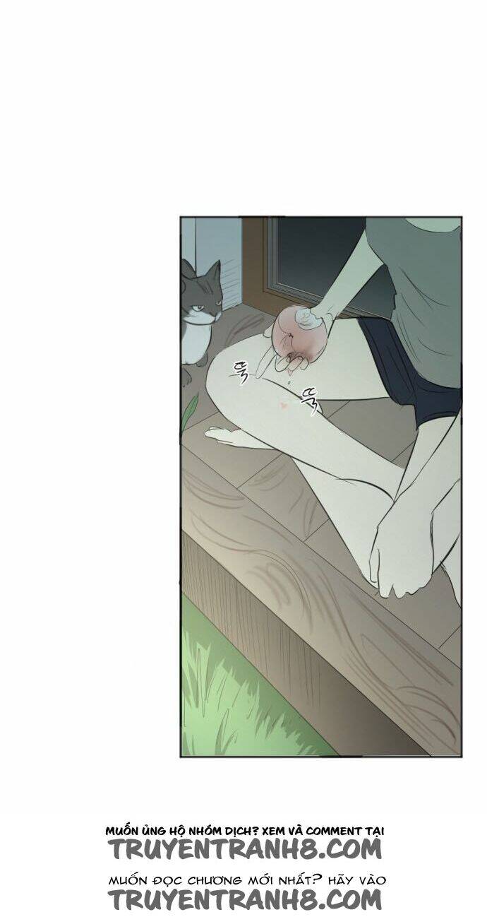 Transparent Cohabitation Chapter 31 - 10