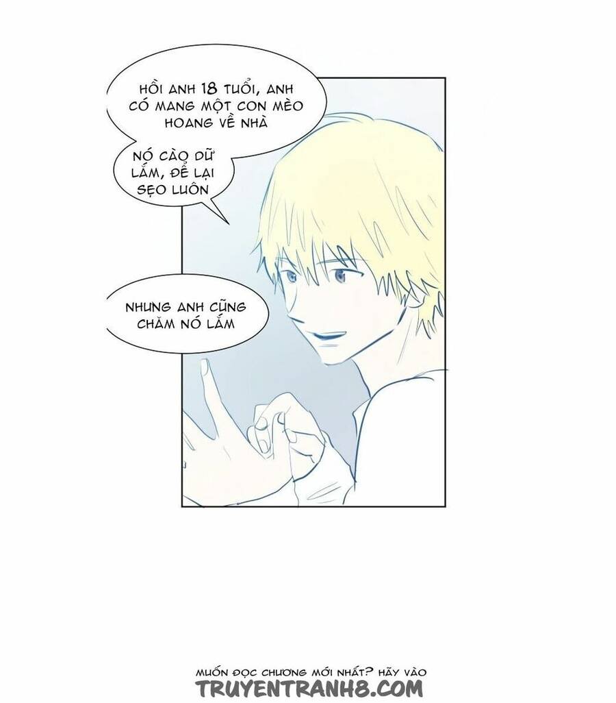 Transparent Cohabitation Chapter 40 - 22
