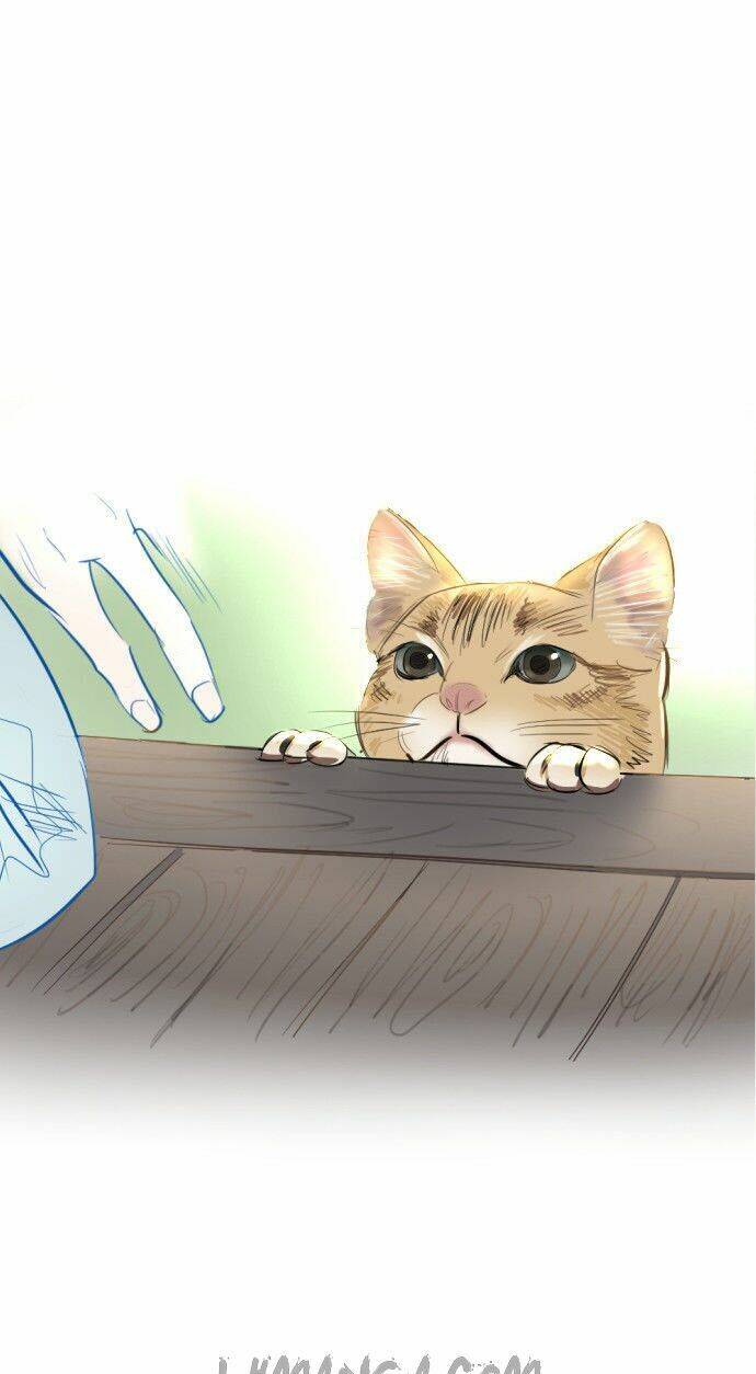 Transparent Cohabitation Chapter 5 - 45