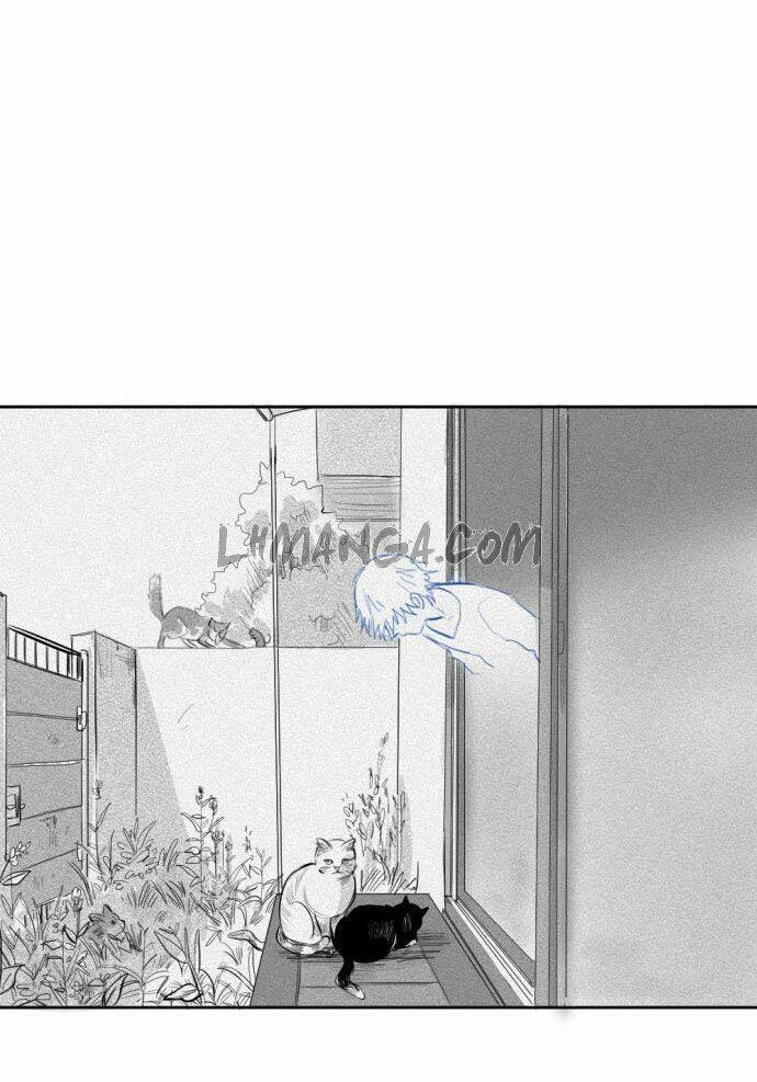 Transparent Cohabitation Chapter 5 - 54