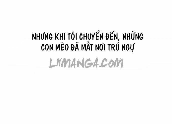 Transparent Cohabitation Chapter 5 - 56