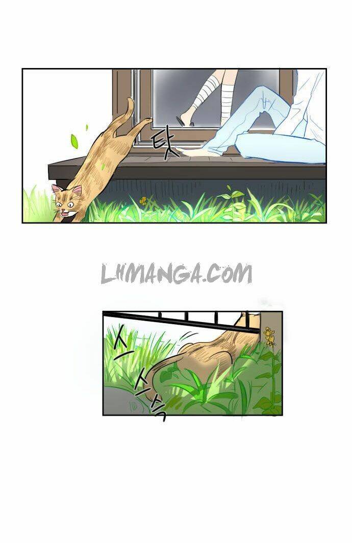 Transparent Cohabitation Chapter 5 - 61