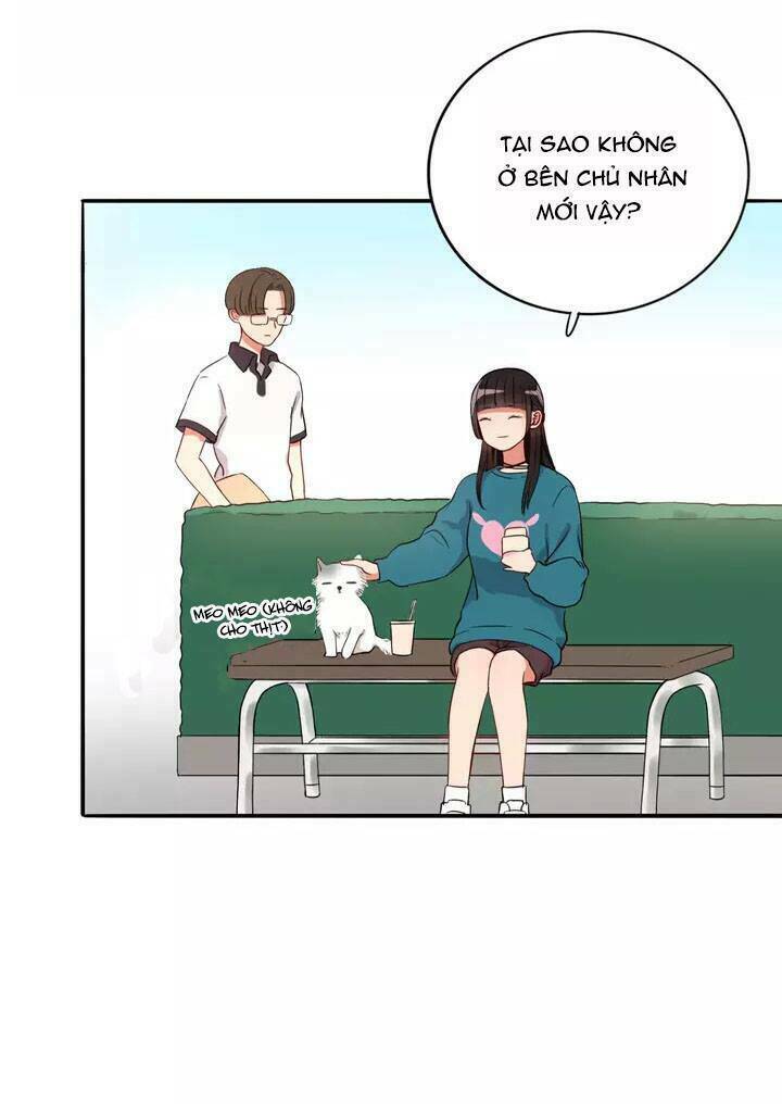 Chào Buổi Sáng, Hướng Dương Chapter 15 - 50