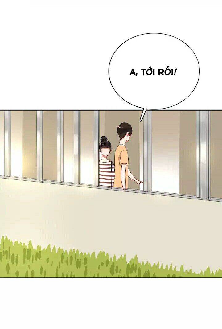 Chào Buổi Sáng, Hướng Dương Chapter 19 - 18