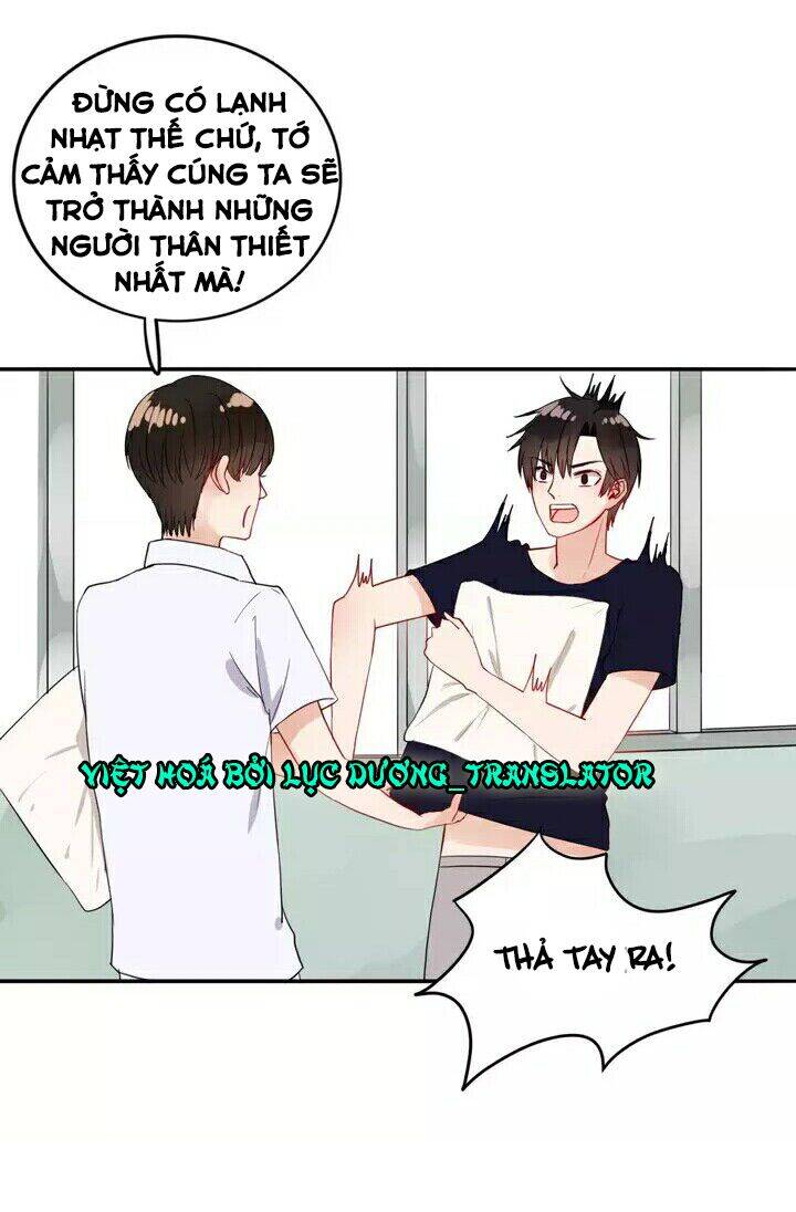 Chào Buổi Sáng, Hướng Dương Chapter 21 - 12