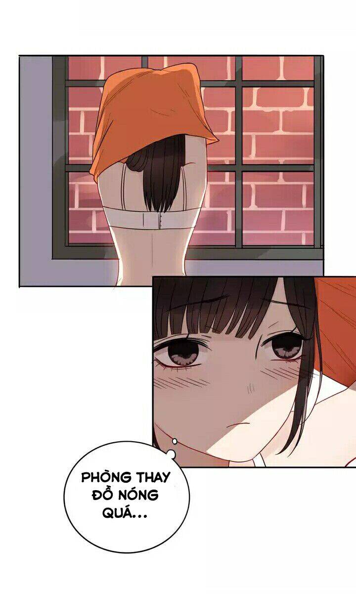 Chào Buổi Sáng, Hướng Dương Chapter 21 - 9