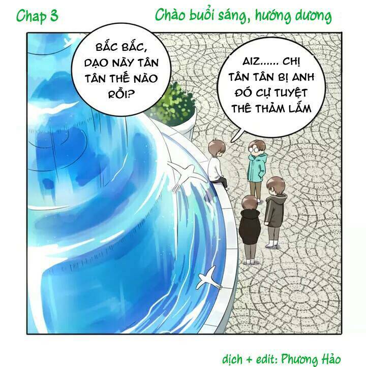 Chào Buổi Sáng, Hướng Dương Chapter 3 - 1
