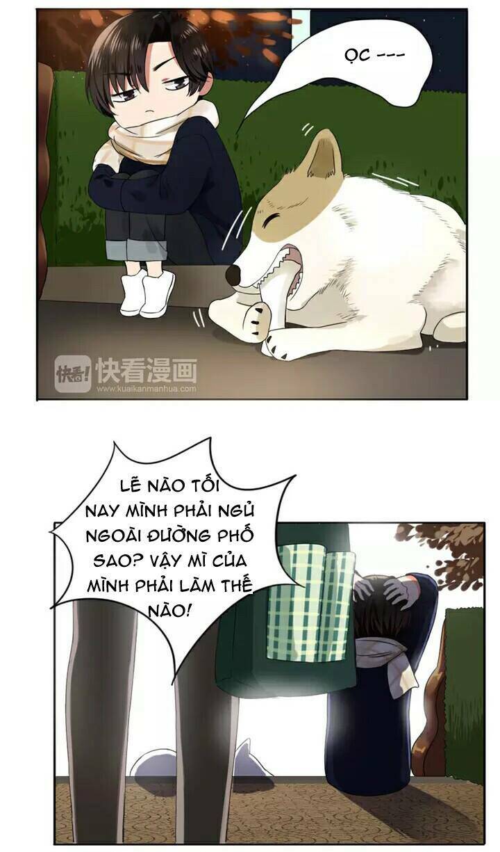 Chào Buổi Sáng, Hướng Dương Chapter 3 - 49