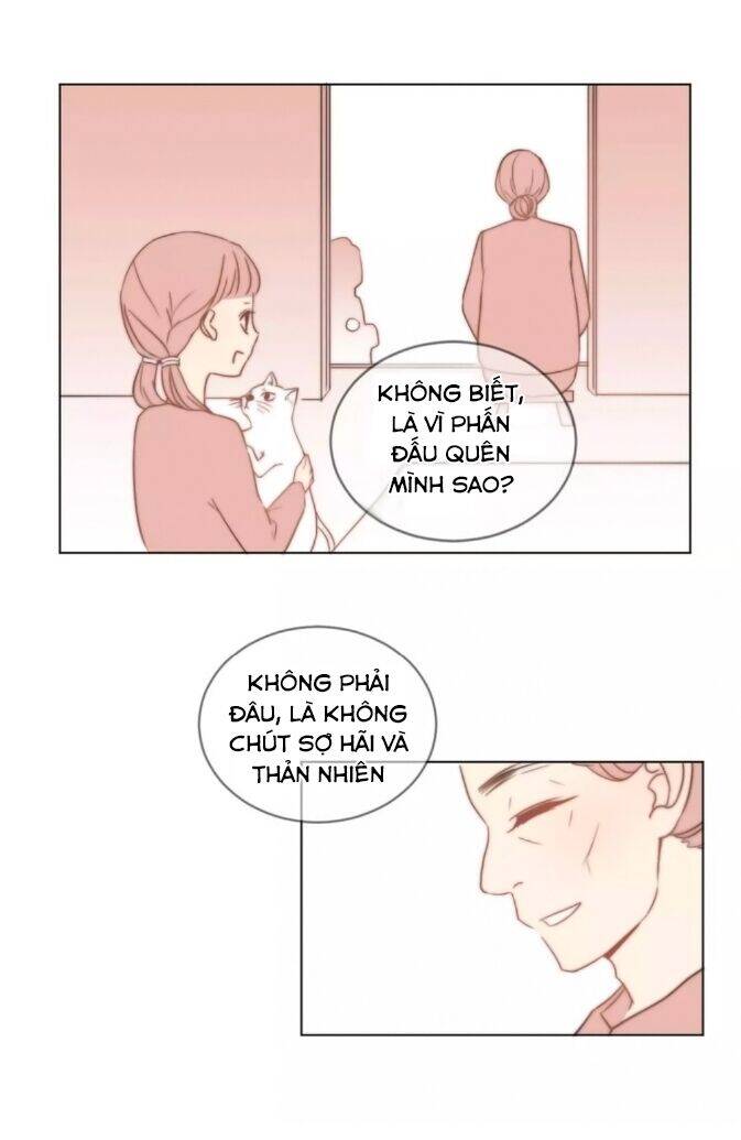 Chào Buổi Sáng, Hướng Dương Chapter 36 - 24