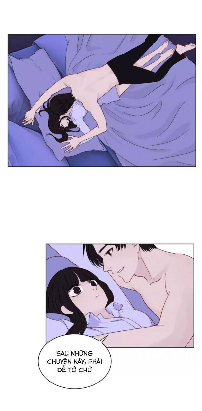 Chào Buổi Sáng, Hướng Dương Chapter 38 - 6