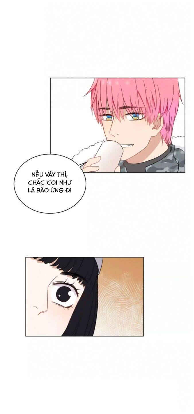 Chào Buổi Sáng, Hướng Dương Chapter 39 - 15