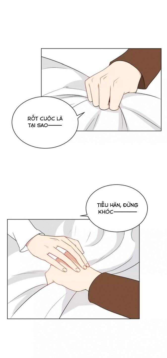 Chào Buổi Sáng, Hướng Dương Chapter 39 - 22