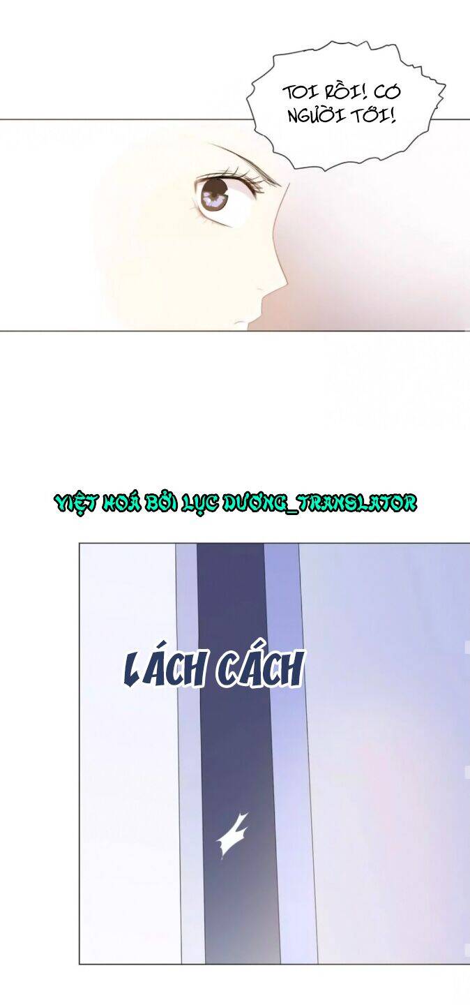 Chào Buổi Sáng, Hướng Dương Chapter 41 - 13