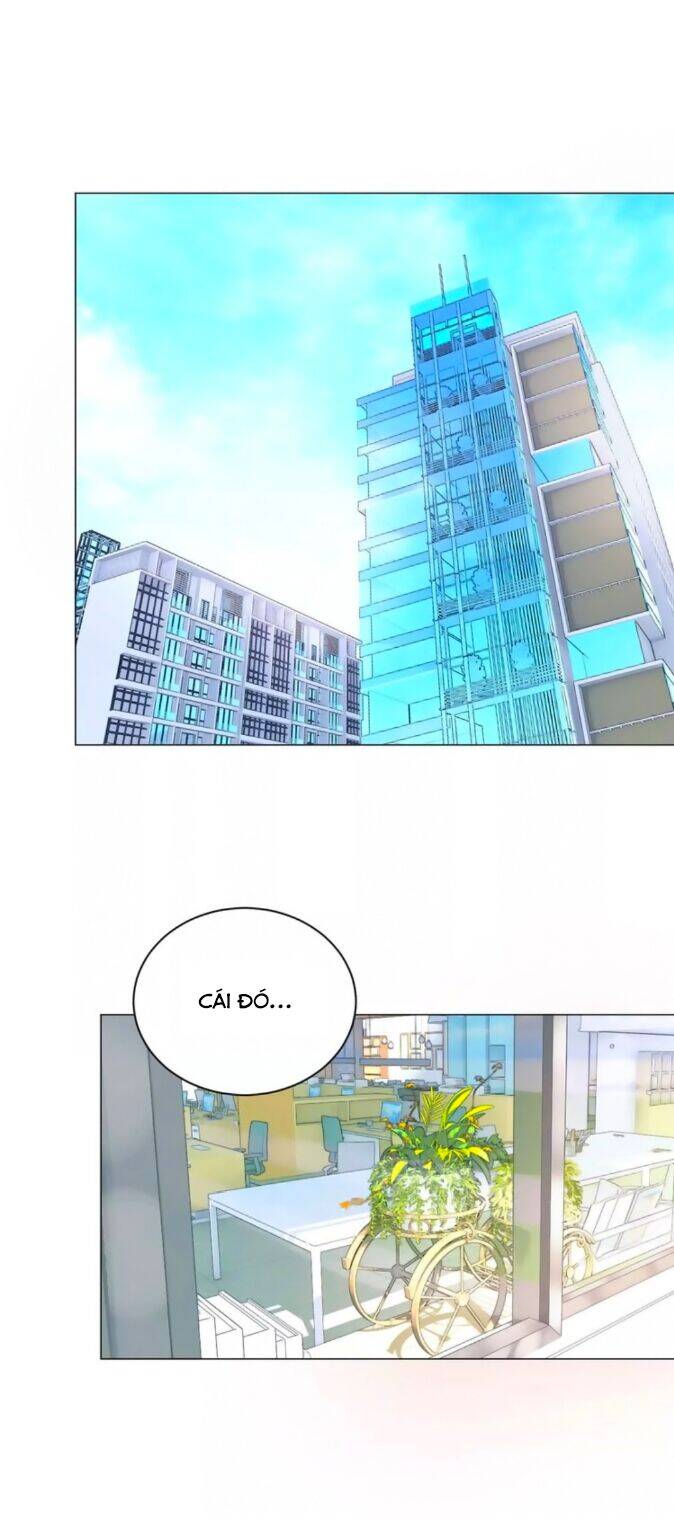 Chào Buổi Sáng, Hướng Dương Chapter 41 - 20