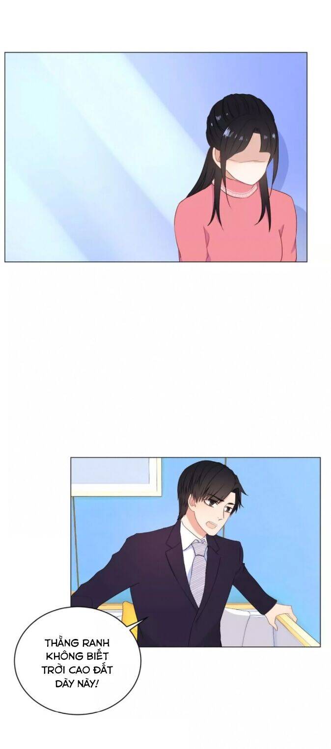 Chào Buổi Sáng, Hướng Dương Chapter 41 - 24